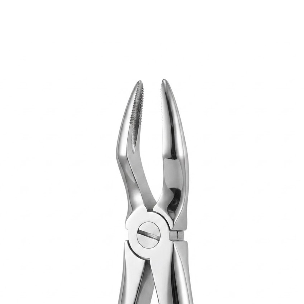 Upper Roots | Standard Extraction Forcep | ErgoDenta