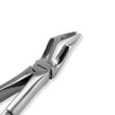 Upper Roots | Standard Extraction Forcep | ErgoDenta