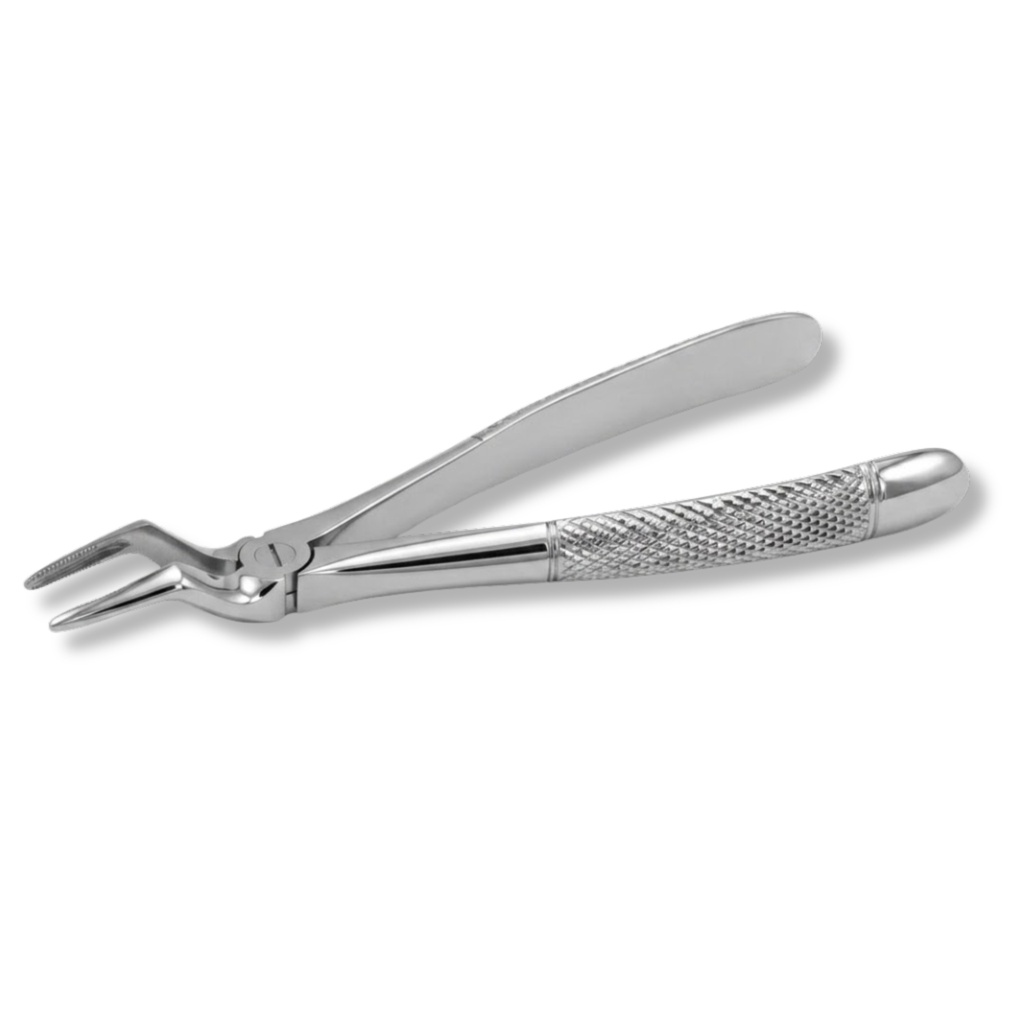 Upper Roots | Standard Extraction Forcep | ErgoDenta