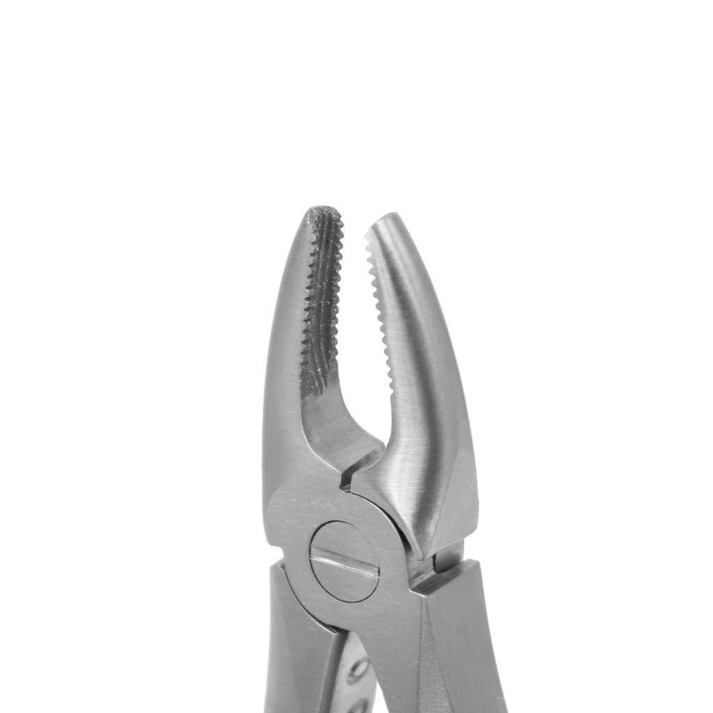 Fig. 137, Upper Incisors | Diamond Child Extraction Forcep | ErgoDenta