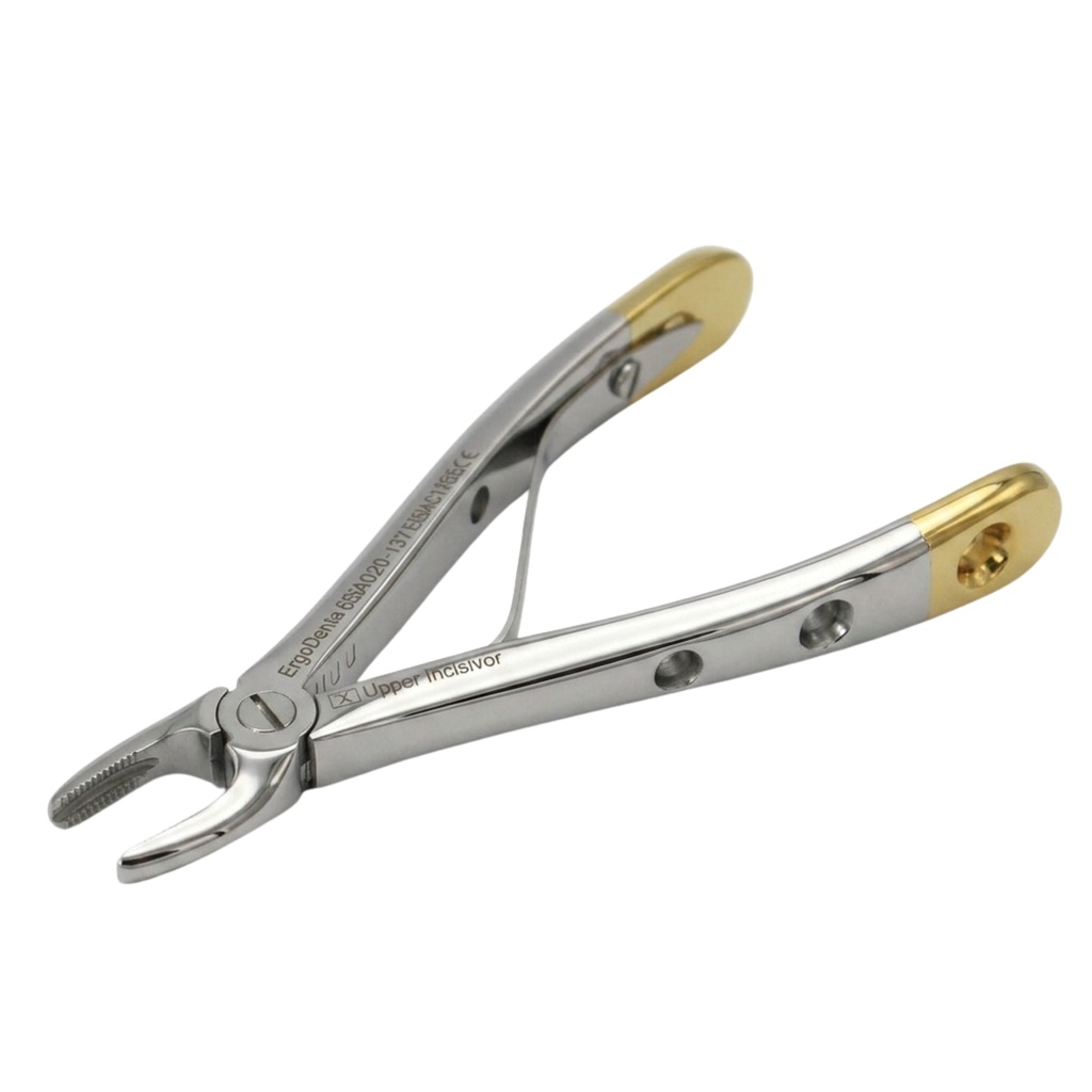 Fig. 137, Upper Incisors | Diamond Child Extraction Forcep | ErgoDenta