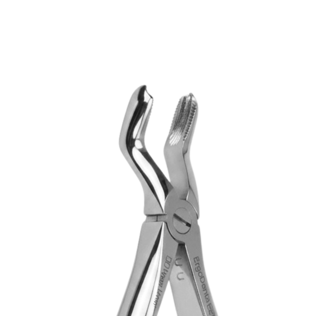 Fig. 3 Upper Molars | Child Extraction Forcep | ErgoDenta