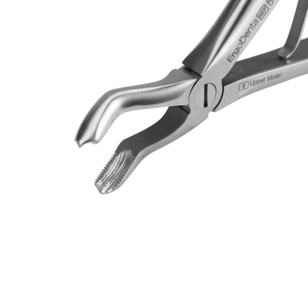 Fig. 3 Upper Molars | Child Extraction Forcep | ErgoDenta
