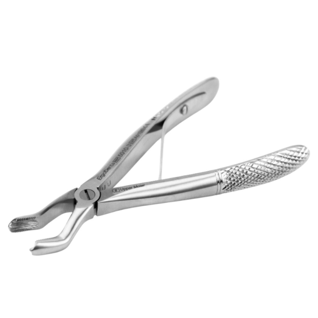 Fig. 3 Upper Molars | Child Extraction Forcep | ErgoDenta