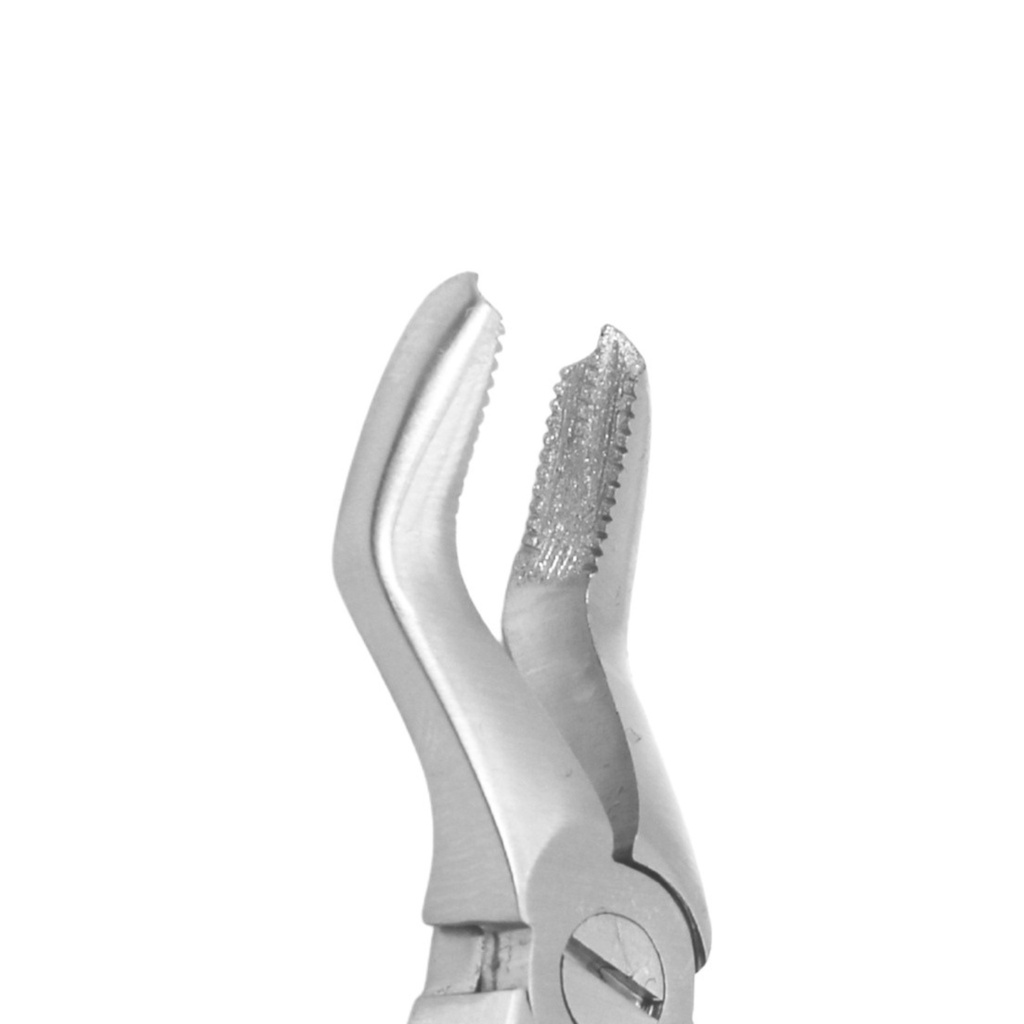 Fig. 3 Upper Molars | Diamond Child Extraction Forcep | ErgoDenta