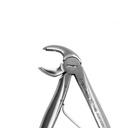 Fig. 6, Lower Molars | Child Extraction Forcep | ErgoDenta