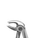 Fig. 6, Lower Molars | Diamond Child Extraction Forcep | ErgoDenta