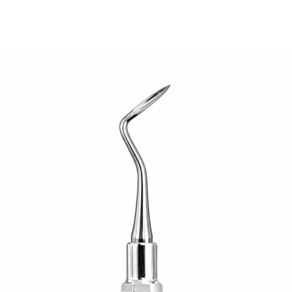 Apical Root Elevator, Fig. 302 | ErgoDenta