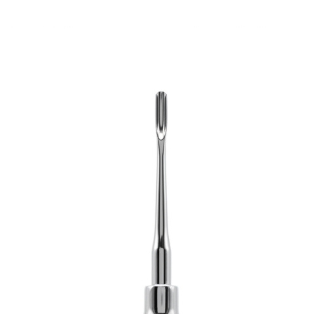 Bein Root Elevator, Straight, Fig. 1 | ErgoDenta