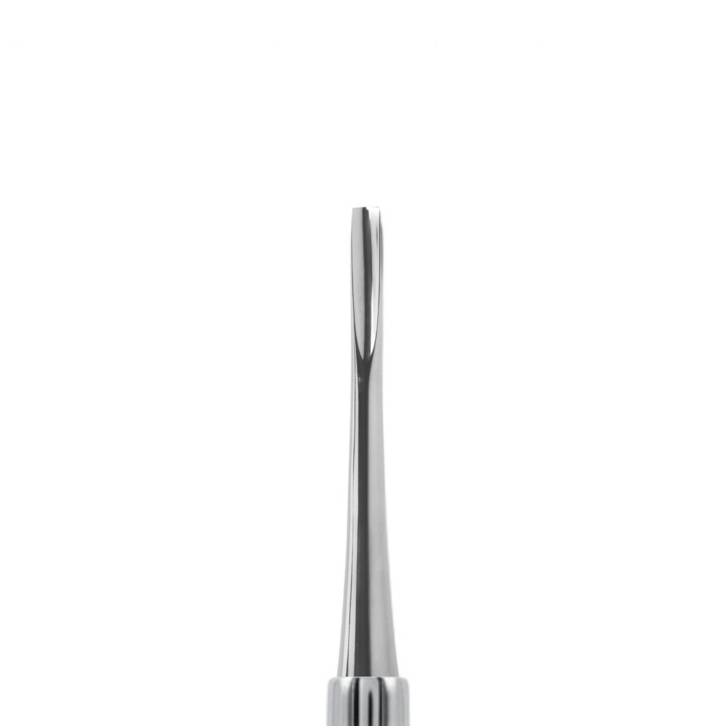 Bein Root Elevator, Straight, Fig. 2 | ErgoDenta