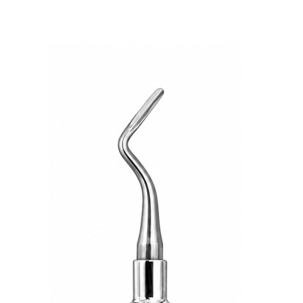 Flohr Root Elevator, Right | ErgoDenta