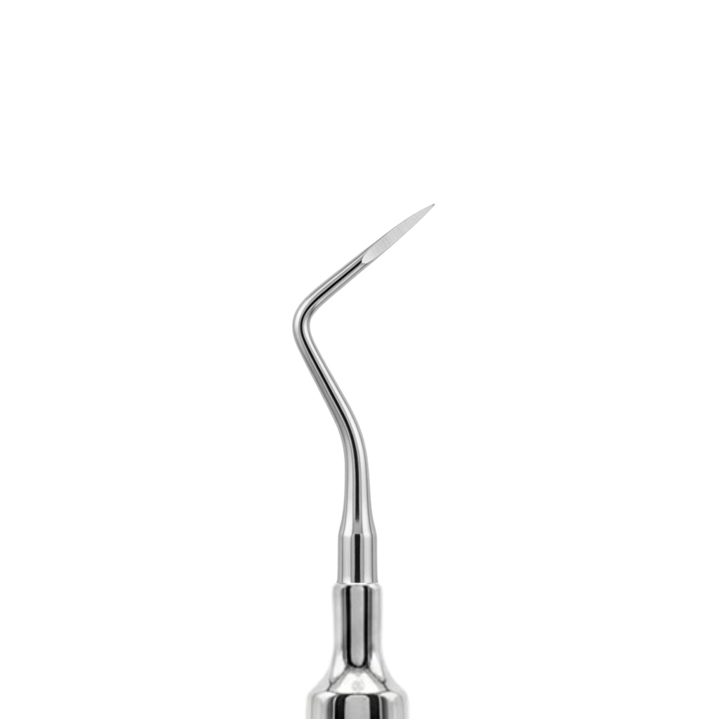 Heiderbrink Root Tip Elevator, Right, Fig. 2 | ErgoDenta