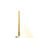 Elevator Gold, Straight, 1mm, Yellow | ErgoLite