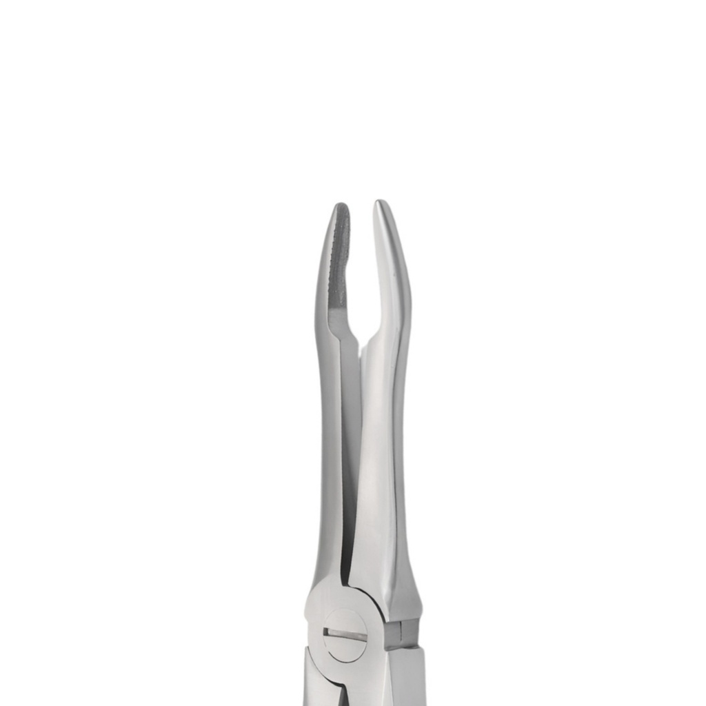 5025-41 Extra