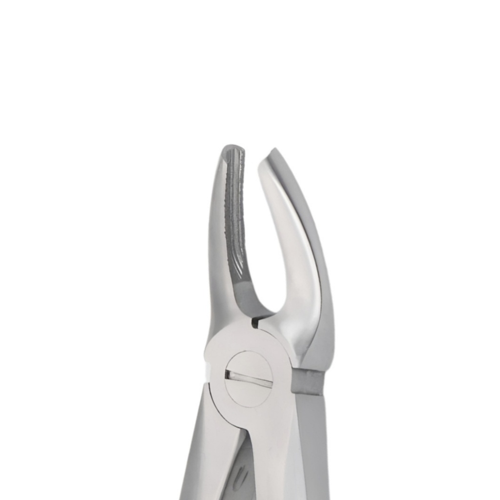 5025-7 Extra – dental diamond forceps | ErgoDenta