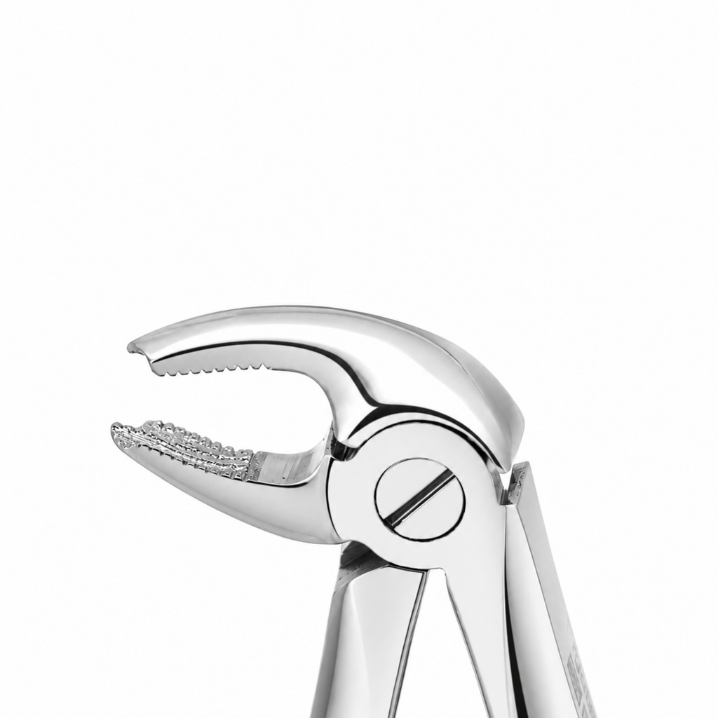 Fig. 6, Lower Molars | Diamond Child Extraction Forcep | ErgoDenta