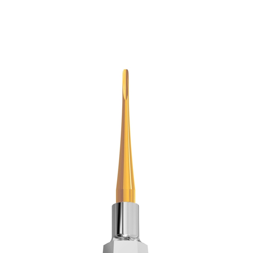 6001-1G Extra – dental luxating elevators | ErgoDenta