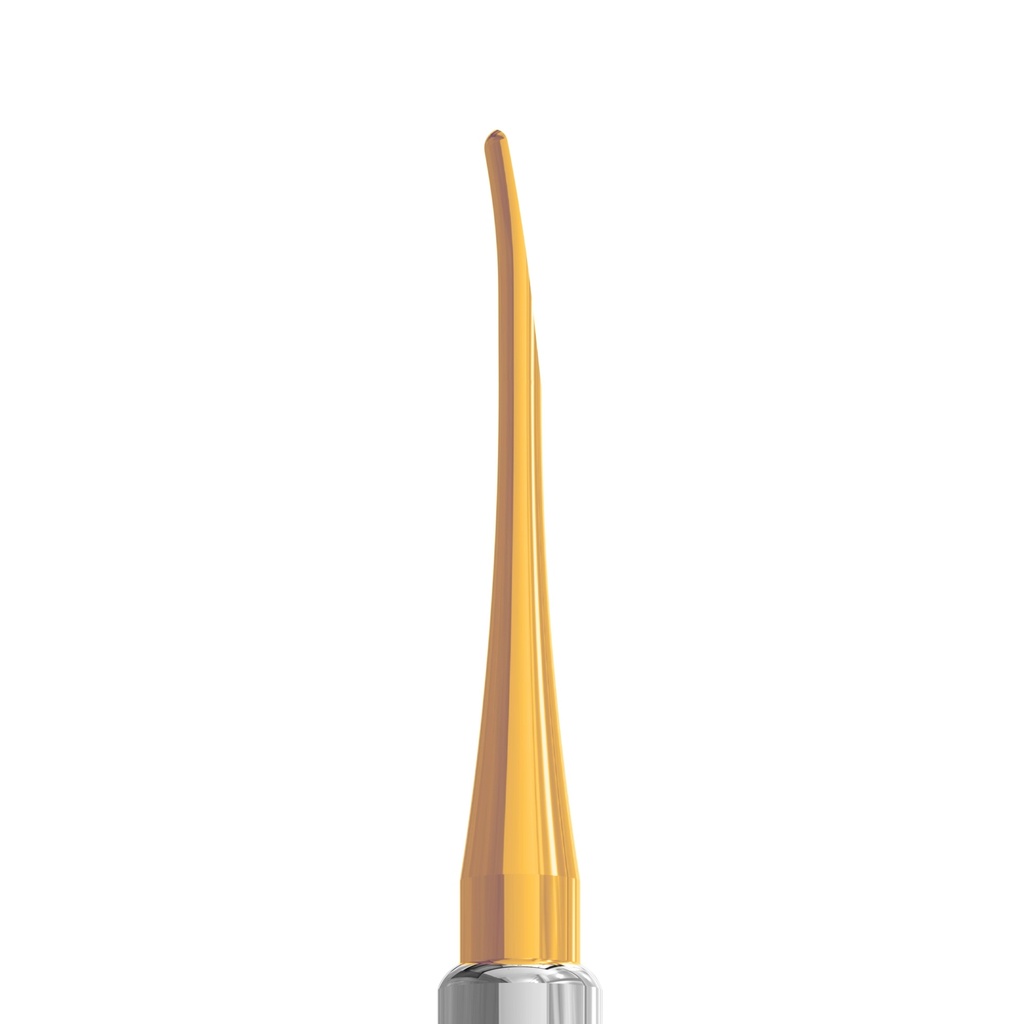 Luxating Elevator Gold, Curved, 3mm — Classic Handle – dental luxating elevators | ErgoDenta
