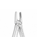 Fig. 139, Upper Premolars | Diamond Child Extraction Forcep | ErgoDenta