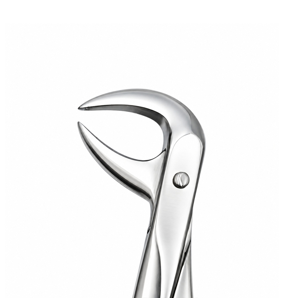 Lower Molars | Diamond Extraction Forcep | ErgoDenta