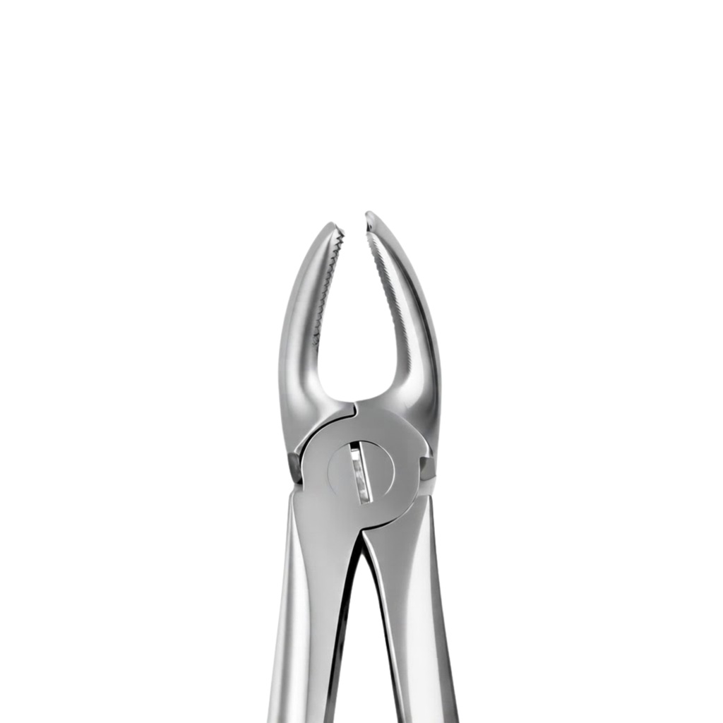 Upper Molars, Left | Standard Extraction Forcep | ErgoDenta