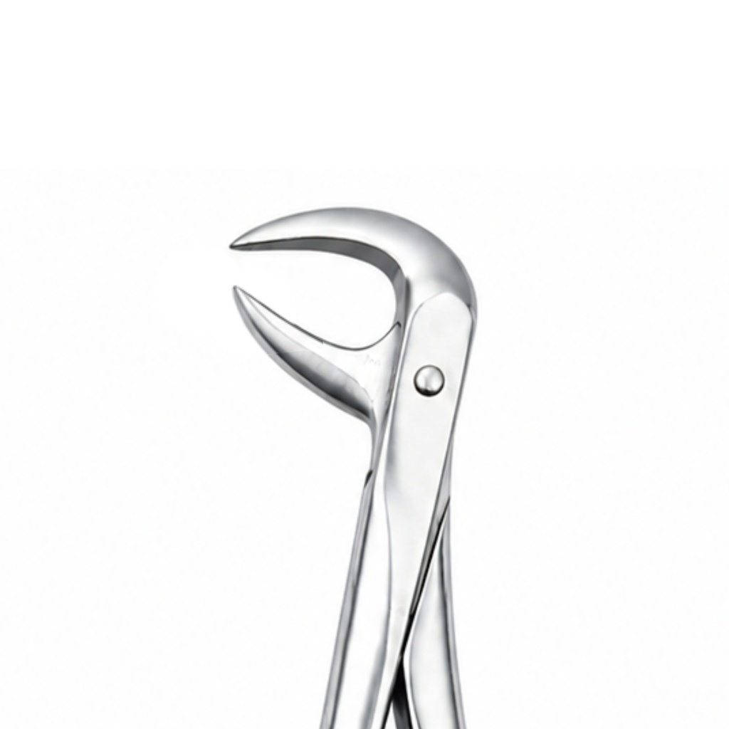 Lower Molars – dental diamond forceps | ErgoDenta