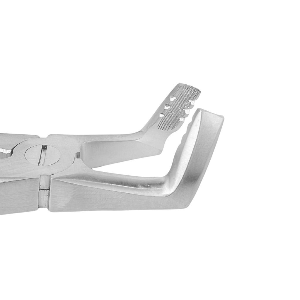 Lower Molar | Diamond Extraction Forcep GripMaster | ErgoDenta
