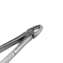Extraction Forceps  Fig. 1. Upper Incisors & Molars 