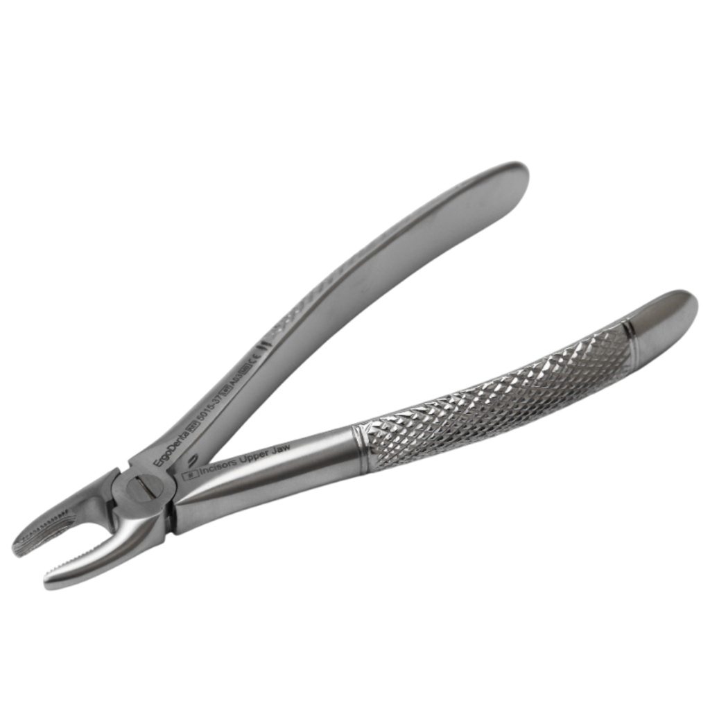 Fig. 37 Incisors, Upper Jaw