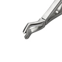 Fig. 3 Upper Molar