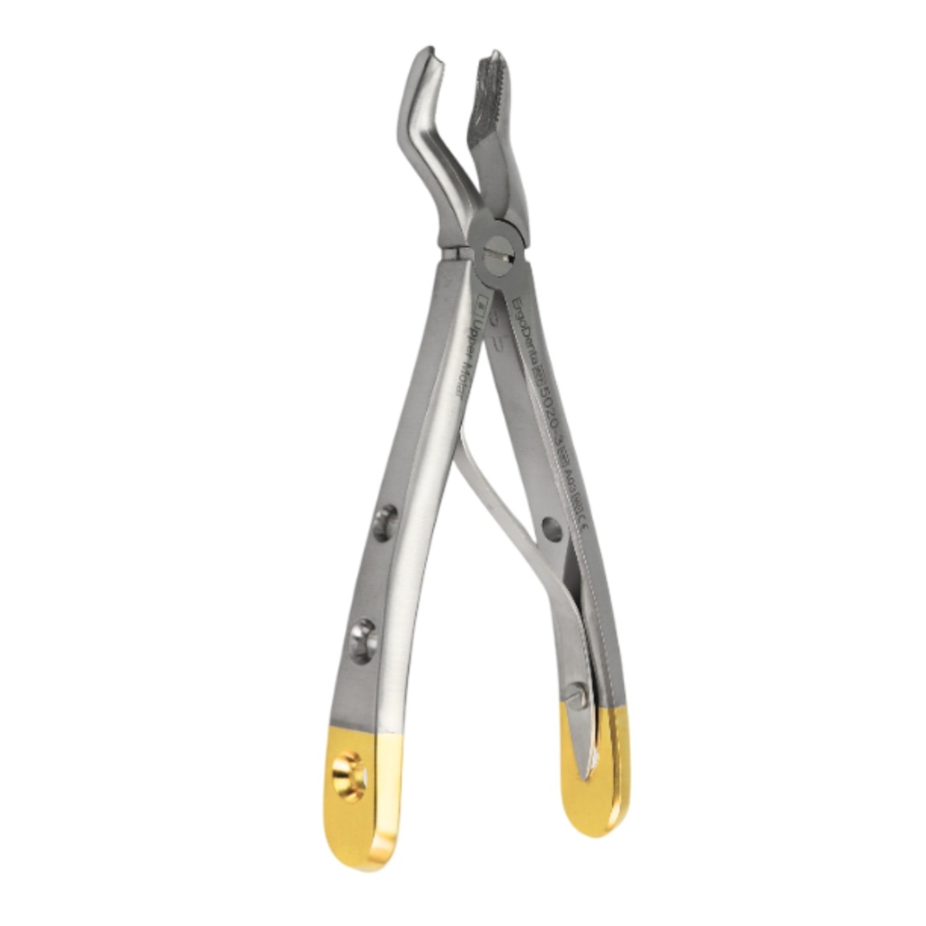Fig. 3 Upper Molar