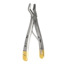 Fig. 3 Upper Molar
