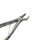 Fig. 3 Upper Molar