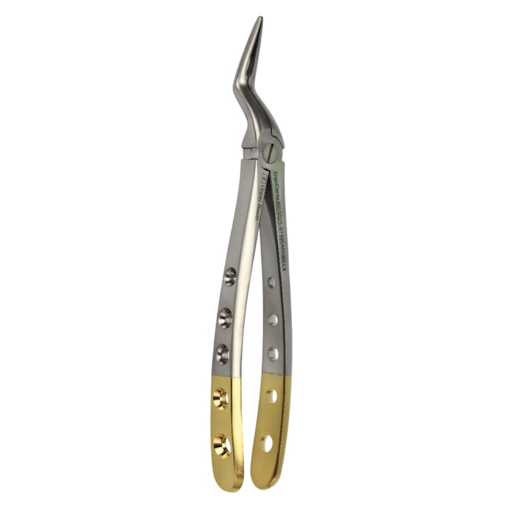 Fig. 97. Upper Roots