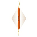 Mini Duplex Anterior | ErgoRazor®