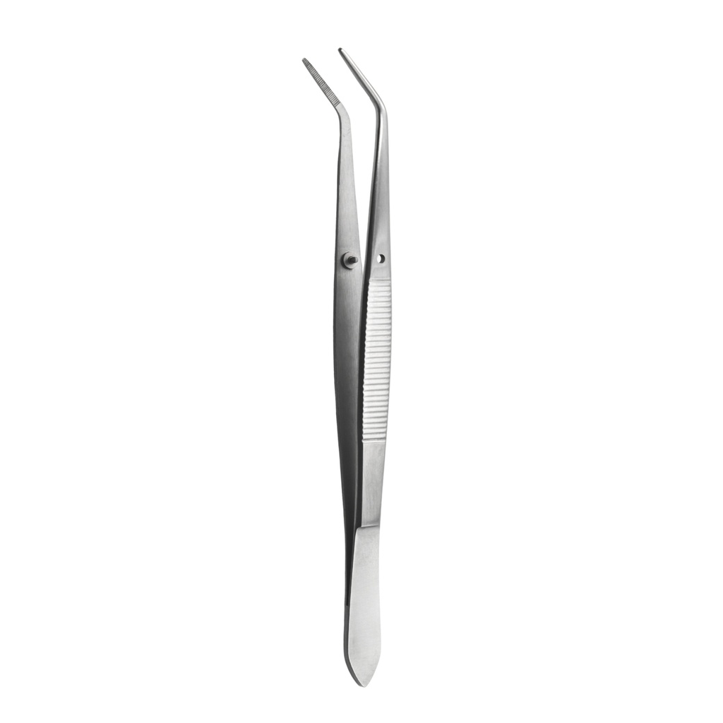 College Tweezer, Long Serrated, 15cm