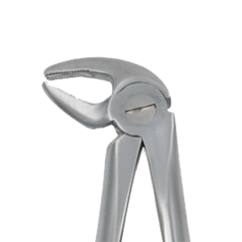 Fig. 13K Premolars, Lower Jaw | Junior Extraction Forceps