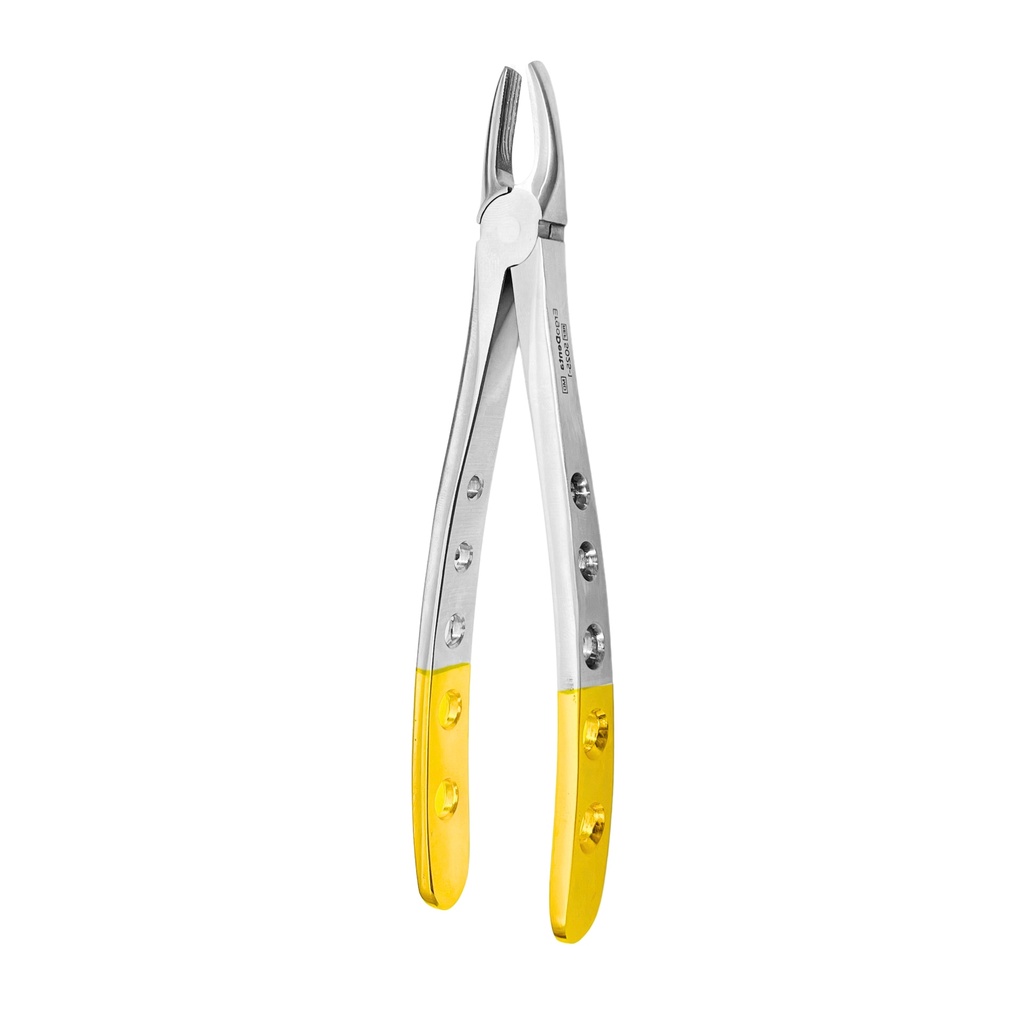 Upper Incisors and Molars | Diamond Extraction Forcep | ErgoDenta