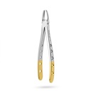 Upper Incisors and Molars | Diamond Extraction Forcep | ErgoDenta