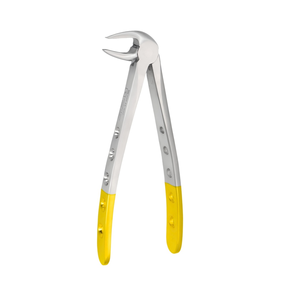 Lower Molars and Premolars | Diamond Extraction Forcep | ErgoDenta