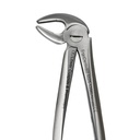Lower Molars and Premolars | Diamond Extraction Forcep