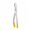 Upper Roots | Diamond Extraction Forcep | ErgoDenta