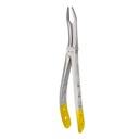 Upper Roots | Diamond Extraction Forcep | ErgoDenta