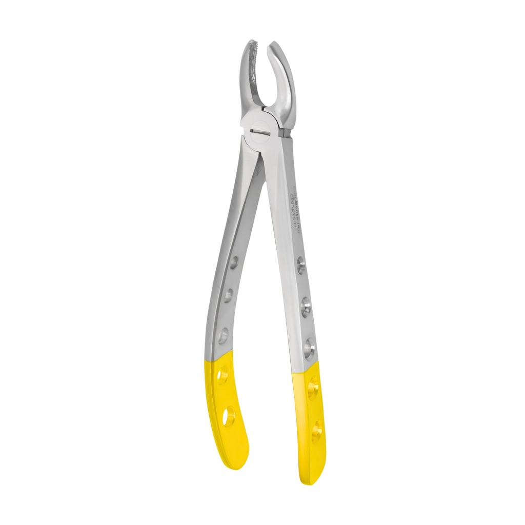 Upper Molars, Right | Diamond Extraction Forcep | ErgoDenta