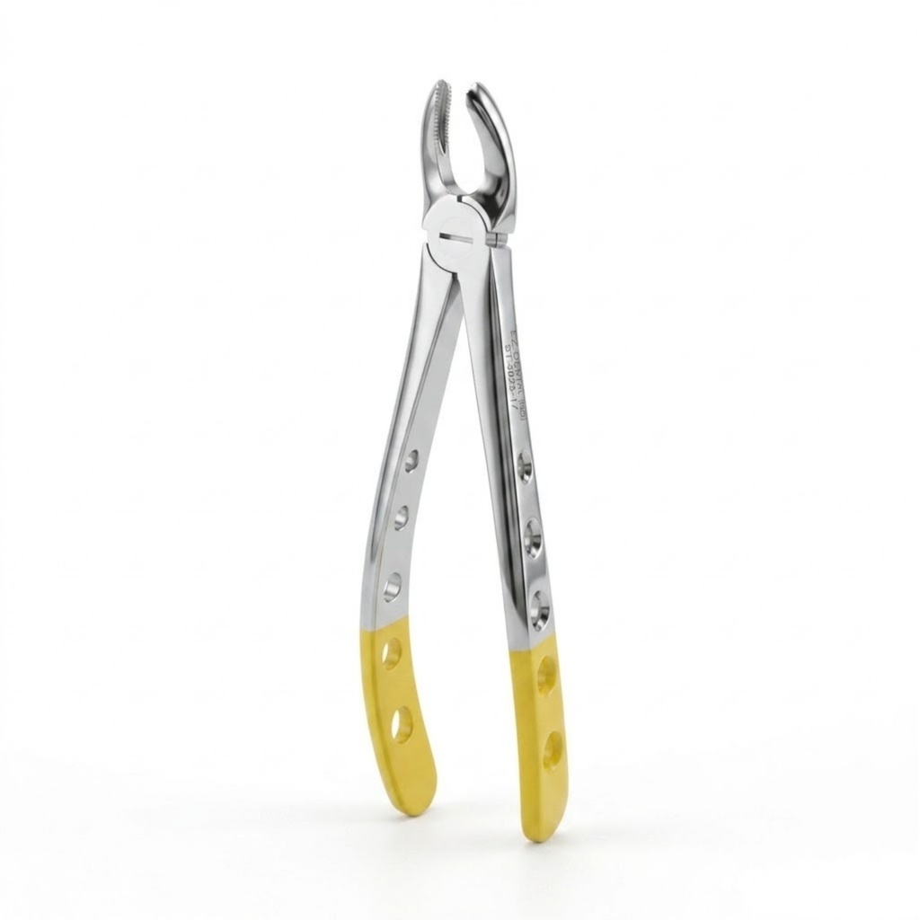 Upper Molars, Right | Diamond Extraction Forcep | ErgoDenta