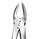 Diamond Extraction Forceps Fig. 17. Upper Molars Right
