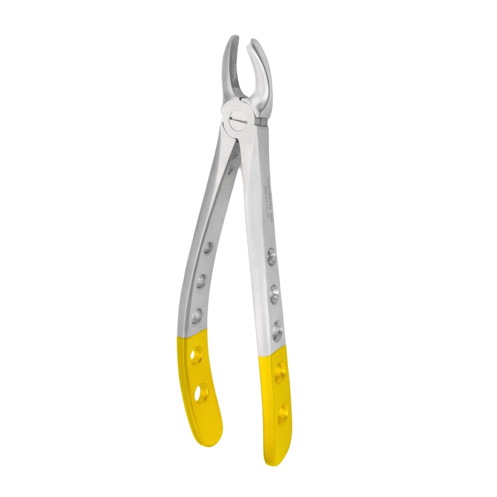 Upper Molars, Left | Diamond Extraction Forcep | ErgoDenta