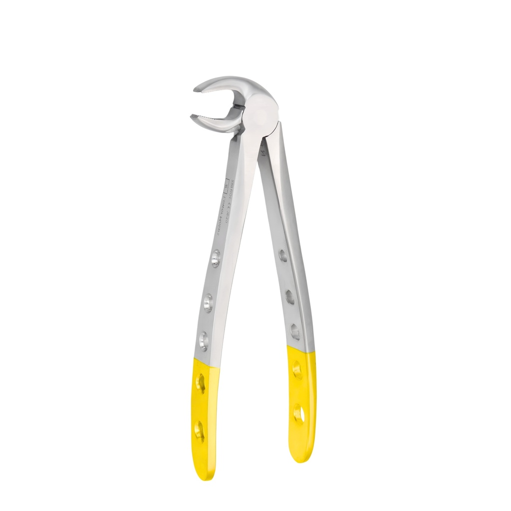 Lower Molars | Diamond Extraction Forcep | ErgoDenta