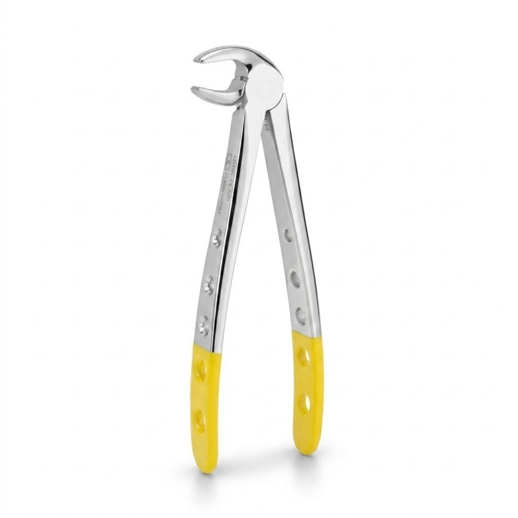 Lower Molars | Diamond Extraction Forcep | ErgoDenta