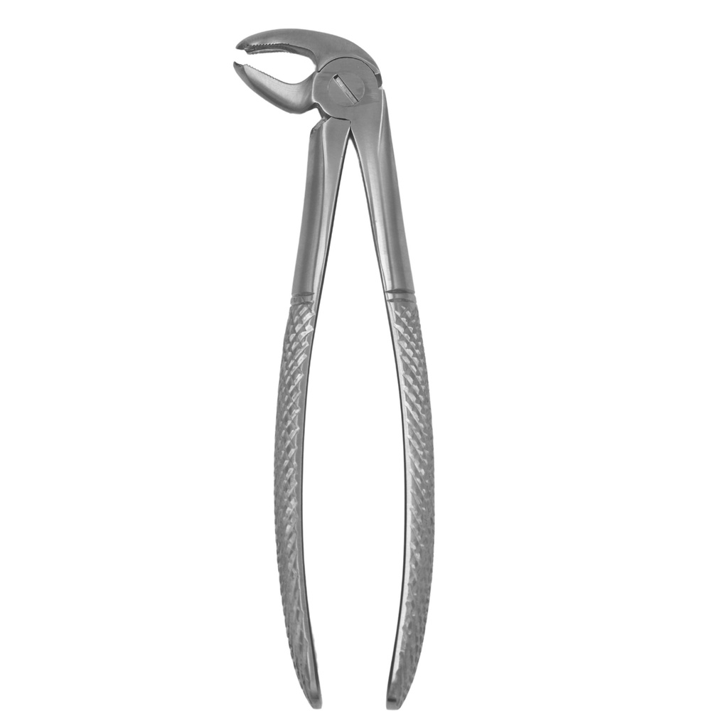 Fig. 22K Molars, Lower Jaw